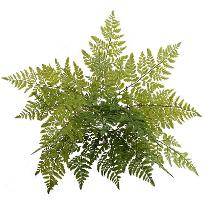 Leather Fern Bush 22 inch - Greenery & Floral - Plastic ferns for outdoor events